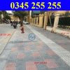 https://thientanvn.com/san-pham/cac-loai-gach-be…-chuong-hien-nay/