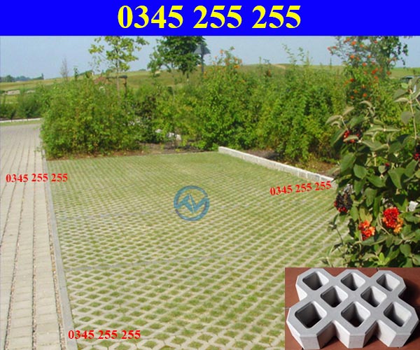 https://thientanvn.com/san-pham/gach-trong-co-8-…i-voi-cong-trinh/ ‎