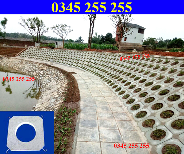 https://thientanvn.com/san-pham/gach-trong-co-la…i-voi-cong-trinh/