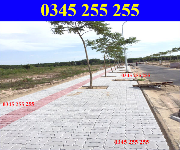  https://thientanvn.com/san-pham/gach-con-sau-lat…oi-nhat-hien-nay/