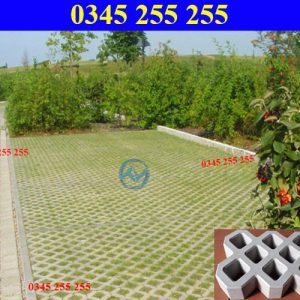 https://thientanvn.com/san-pham/gach-trong-co-8-…i-voi-cong-trinh/ ‎