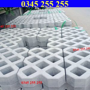 https://thientanvn.com/san-pham/gach-trong-co-8-…i-voi-cong-trinh/ ‎
