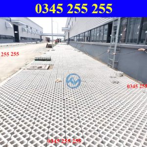https://thientanvn.com/san-pham/gach-trong-co-8-…i-voi-cong-trinh/ ‎