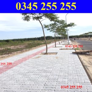 https://thientanvn.com/san-pham/gach-con-sau-lat…oi-nhat-hien-nay/