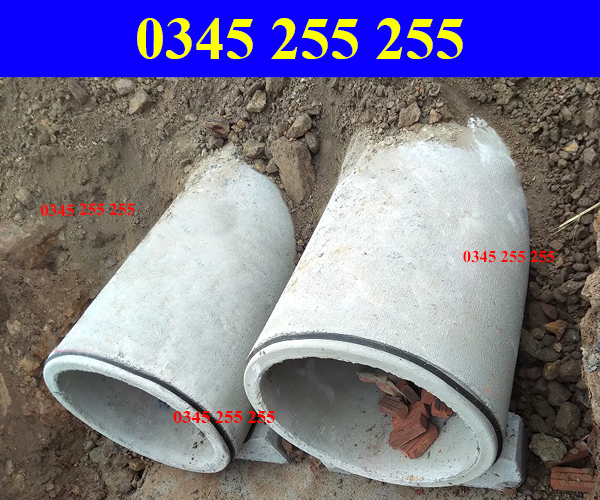 https://thientanvn.com/san-pham/gioang-cao-sau-c…am-tai-thanh-hoa/