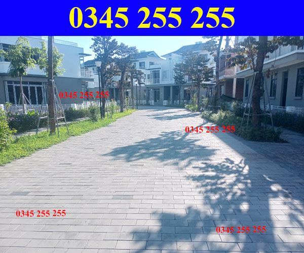 https://thientanvn.com/san-pham/uu-diem-vuot-tro…g-binh-quang-tri/