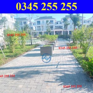 https://thientanvn.com/san-pham/uu-diem-vuot-tro…g-binh-quang-tri/