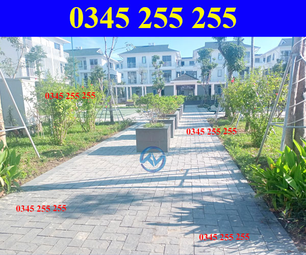 https://thientanvn.com/san-pham/uu-diem-vuot-tro…g-binh-quang-tri/ https://thientanvn.com/san-pham/uu-diem-vuot-tro…g-binh-quang-tri/