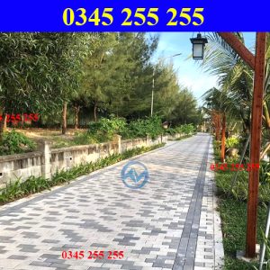 https://thientanvn.com/san-pham/gach-bt-gia-da-v…cm-tai-quang-tri/
