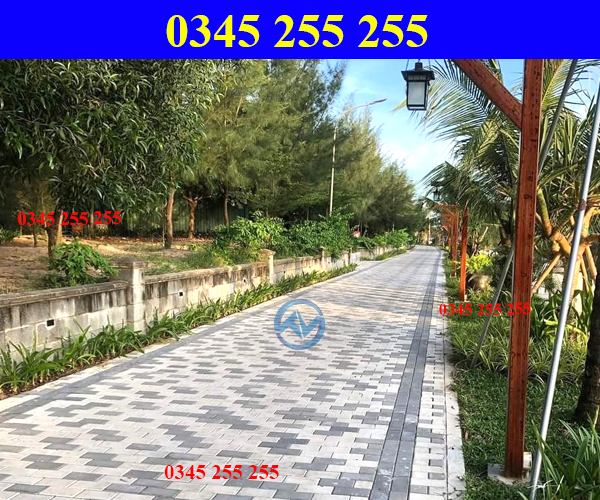 https://thientanvn.com/san-pham/gach-bt-gia-da-v…cm-tai-quang-tri/ https://thientanvn.com/san-pham/gach-bt-gia-da-v…cm-tai-quang-tri/